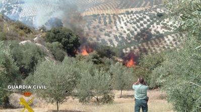 Ganemos quiere que el Ayuntamiento refuerce la prevención de incendios en la Sierra de Córdoba