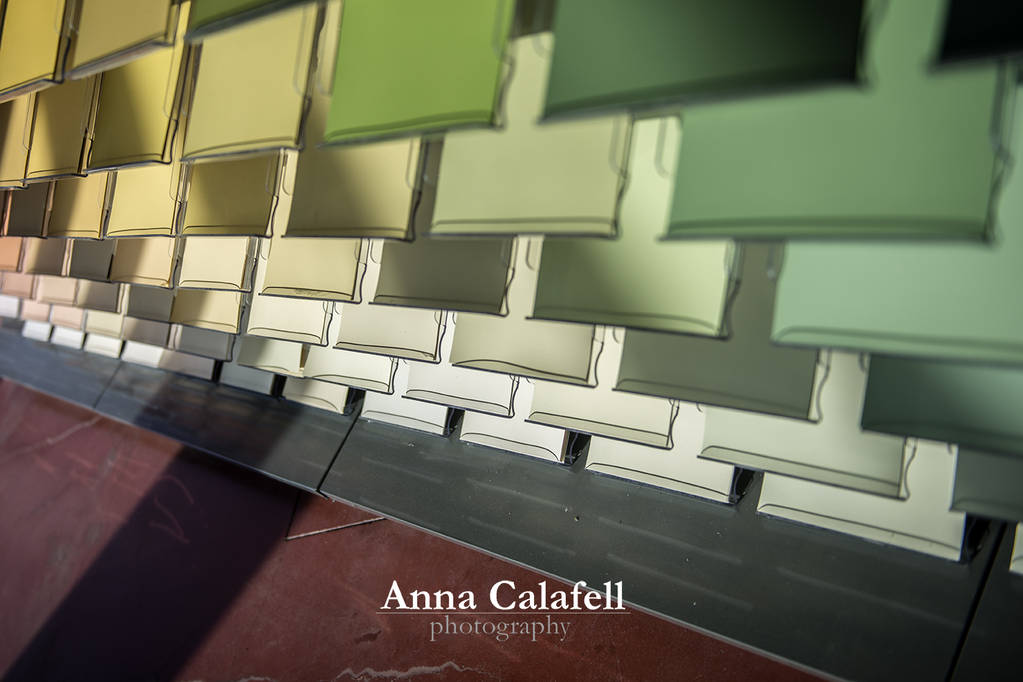 Pintalia ACP_3060_.jpg