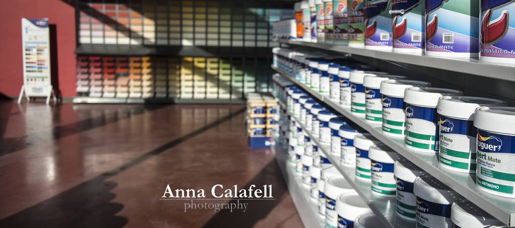 Pintalia ACP_3095_.jpg