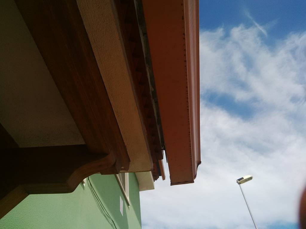 IMG_20150311_120433.jpg
