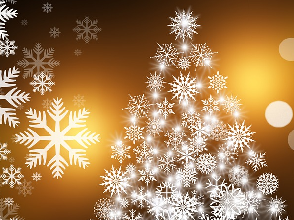 <div style="text-align: center;"><span style="font-size: 24pt;">Christmas menu and San Esteve</span></div>
