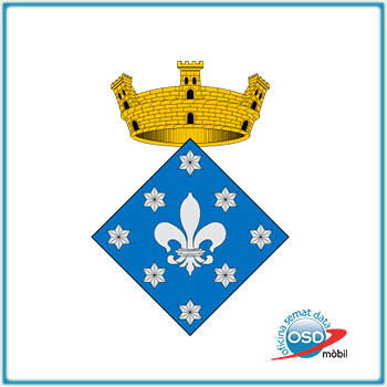 Ajuntament de Vallcebre