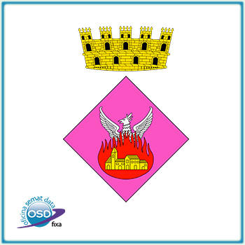 Ajuntament de Bossost