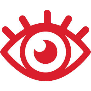 Múltiples tipos de vista
